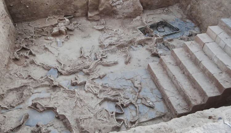 Археологическое открытие в Испании. Яма с костями животных в Касас-дель-Турунюэло. Фото.