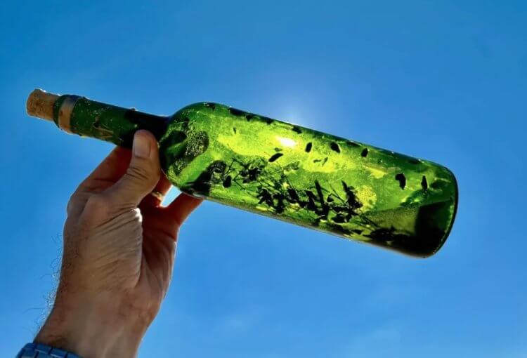 Находки на берегу морей. Одна из «ведьминых бутылок», найденных в Мексиканском заливе. Фото.