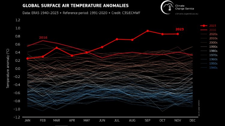 Самый жаркий год в истории. На графике температур видно, что самыми жаркими были летние и осенние месяцы. Фото.