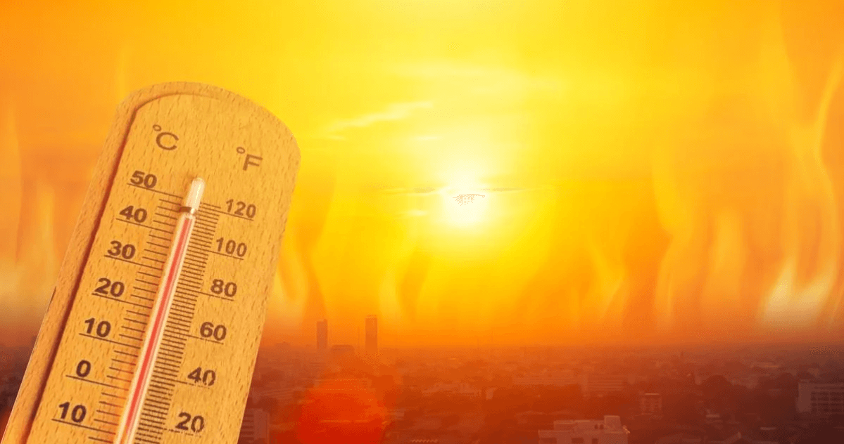 Люди пережили самый жаркий год в истории человечества. 2023 год стал самым жарким за всю историю наблюдений. Фото.