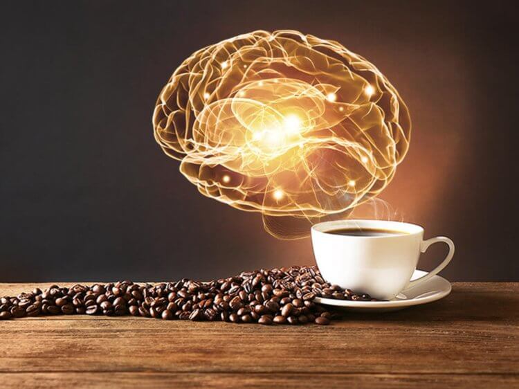 Влияние кофеина на мозг. Ученые обнаружили негативное влияние кофеина на пластичность мозга. Фото.