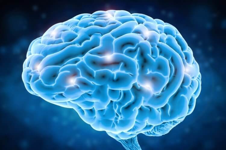 Мощность мозга человека. Мозг человека считается одним из самых сложных объектов во Вселенной. Фото.