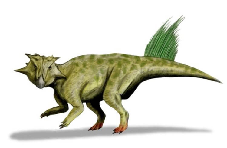 Динозавры не были непобедимыми. Пситтакозавр. Изображение: Википедия. Фото.