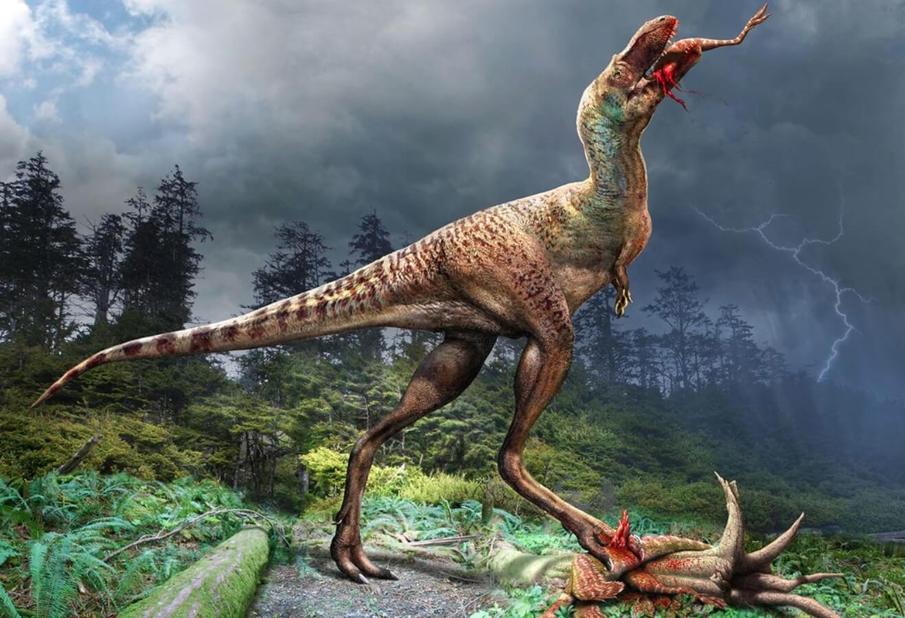 Чем питались хищные динозавры. Горгозавр ест свою жертву. Изображение: Королевский Тиррелловский палеонтологический музей. Фото.