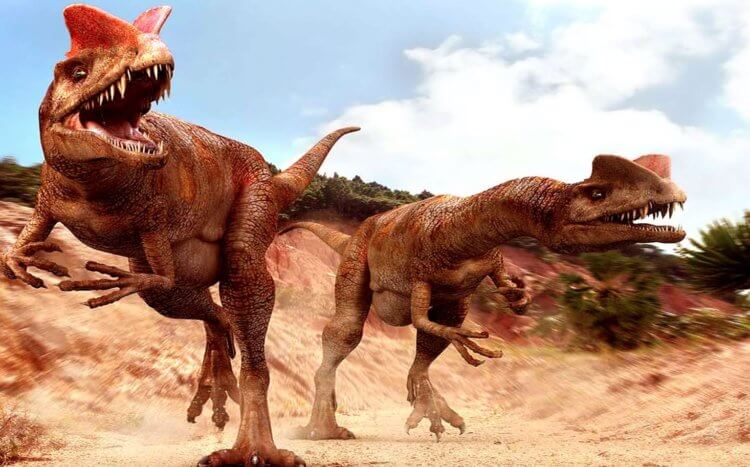 Как динозавры изменили мир. На протяжении многих миллионов лет, динозавры находились на вершине пищевой цепочки. Фото.