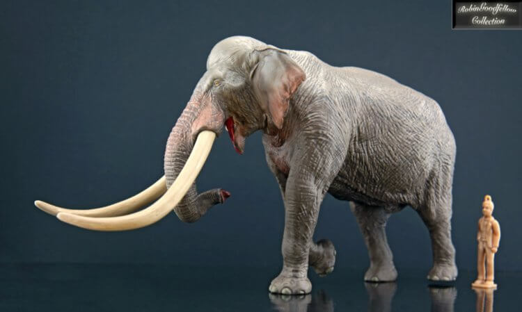 Самые большие слоны в истории. Высота прямобивневого слона по сравнению с ростом взрослого человека. Фото.