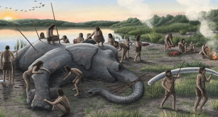 Охота неандертальцев на слонов. Не исключено, что неандертальцы съедали слонов прямо на месте охоты. Фото.