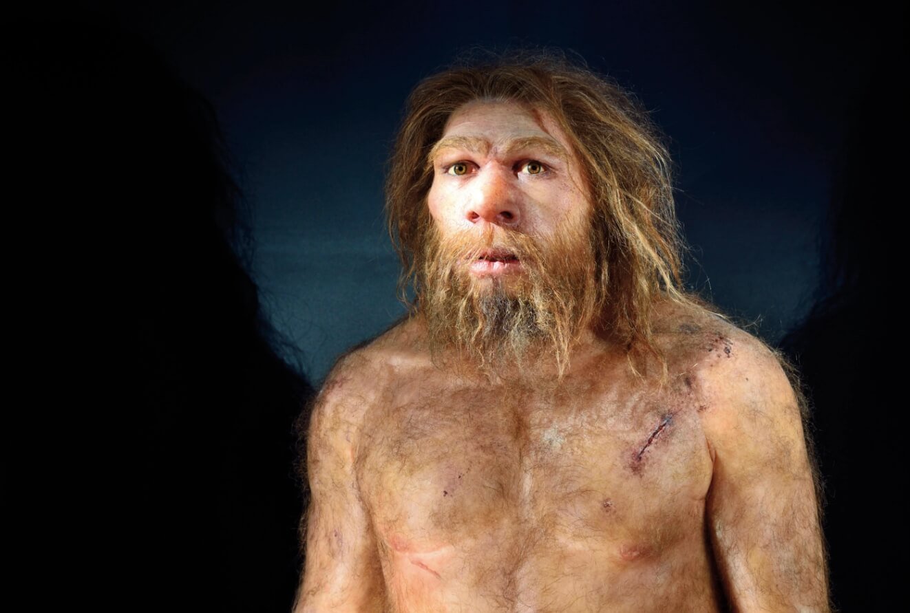 Как разговаривали неандертальцы. Кажется, между неандертальцами и современными людьми было больше общего. Фото.