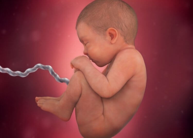 Как развивается ребенок в утробе матери. После 40 недели беременности, ребенок уже готов к рождению. Источник: babycenter.com. Фото.