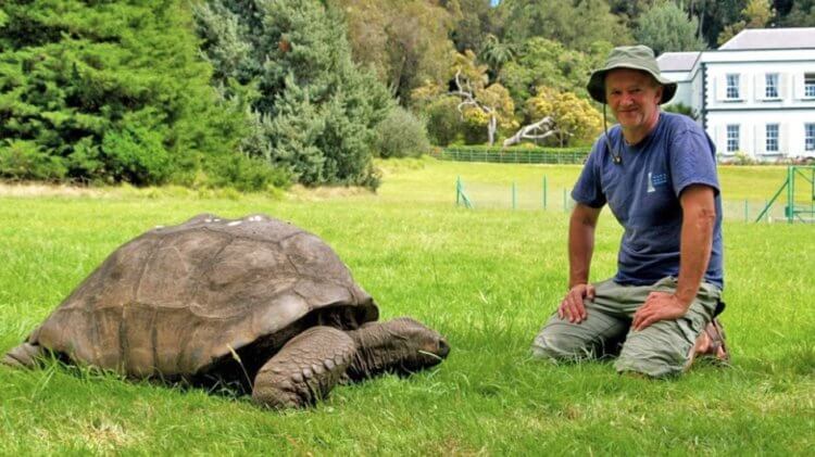 Самая старая черепаха на Земле. Черепаха Джонатан находится под надежным присмотром. Фото.