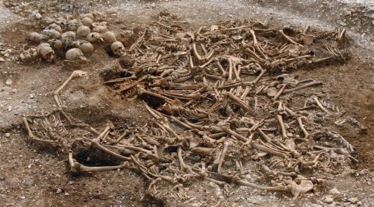 Изучение жизни викингов. Скелеты викингов помогают ученым узнать о них много чего нового. Фото.