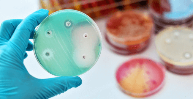 Ученые нашли новый класс антибиотиков, убивающих супербактерии. Фото.