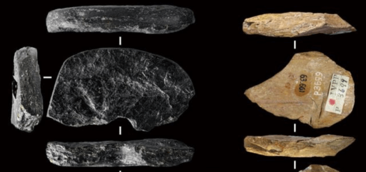 Артефакты первых людей в Китае. Загадочный графитовый диск (слева) и костяной инструмент (справа). Фото.