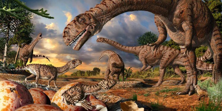 Какая продолжительность жизни была у динозавров — вы удивитесь. Продолжительность жизни динозавров удивила ученых. Фото.