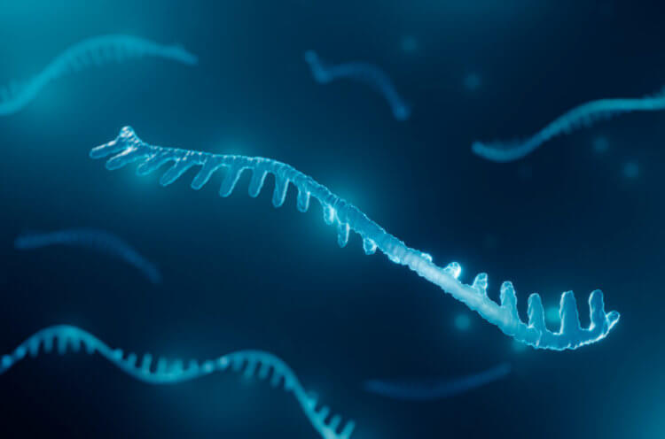 Обелиски — неизвестные ранее сущности. «Обелиски» состоят из РНК, но не являются обычными вирусами. Фото.