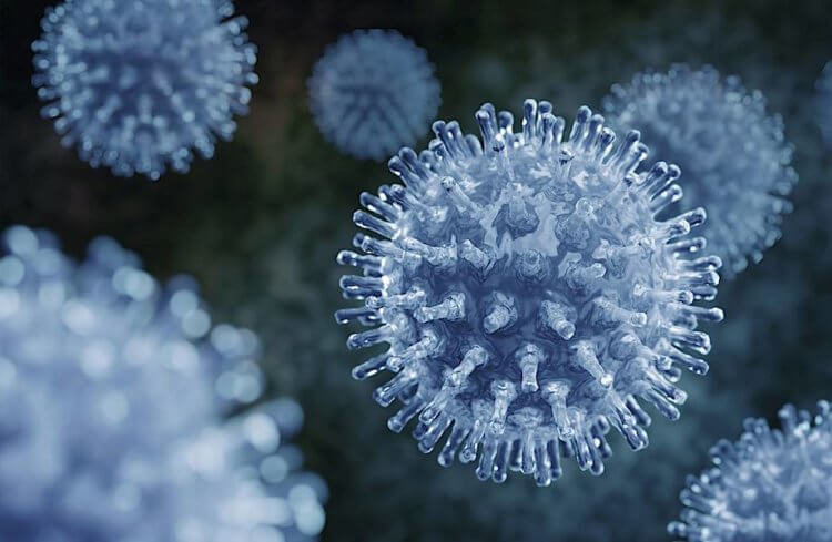 Вирусоподобные существа — что это такое. Вирусы имеют белковую оболочку, в отличие от вироидов. Фото.