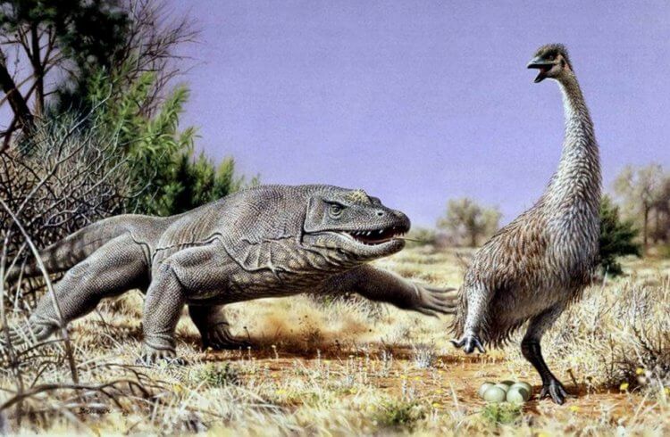 Почему древние животные были большими. Гигантские животные древней Австралии. Фото.