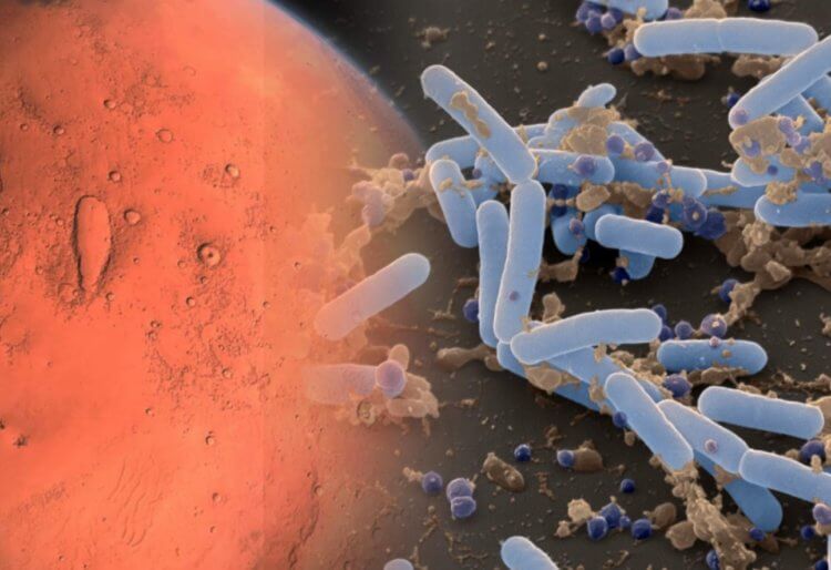 Поиск жизни на Марсе. На Марсе как минимум могла существовать микробная жизнь. Фото.
