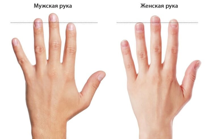 Что такое пальцевый индекс и как его определить. Разница между мужской и женской рукой. Фото.