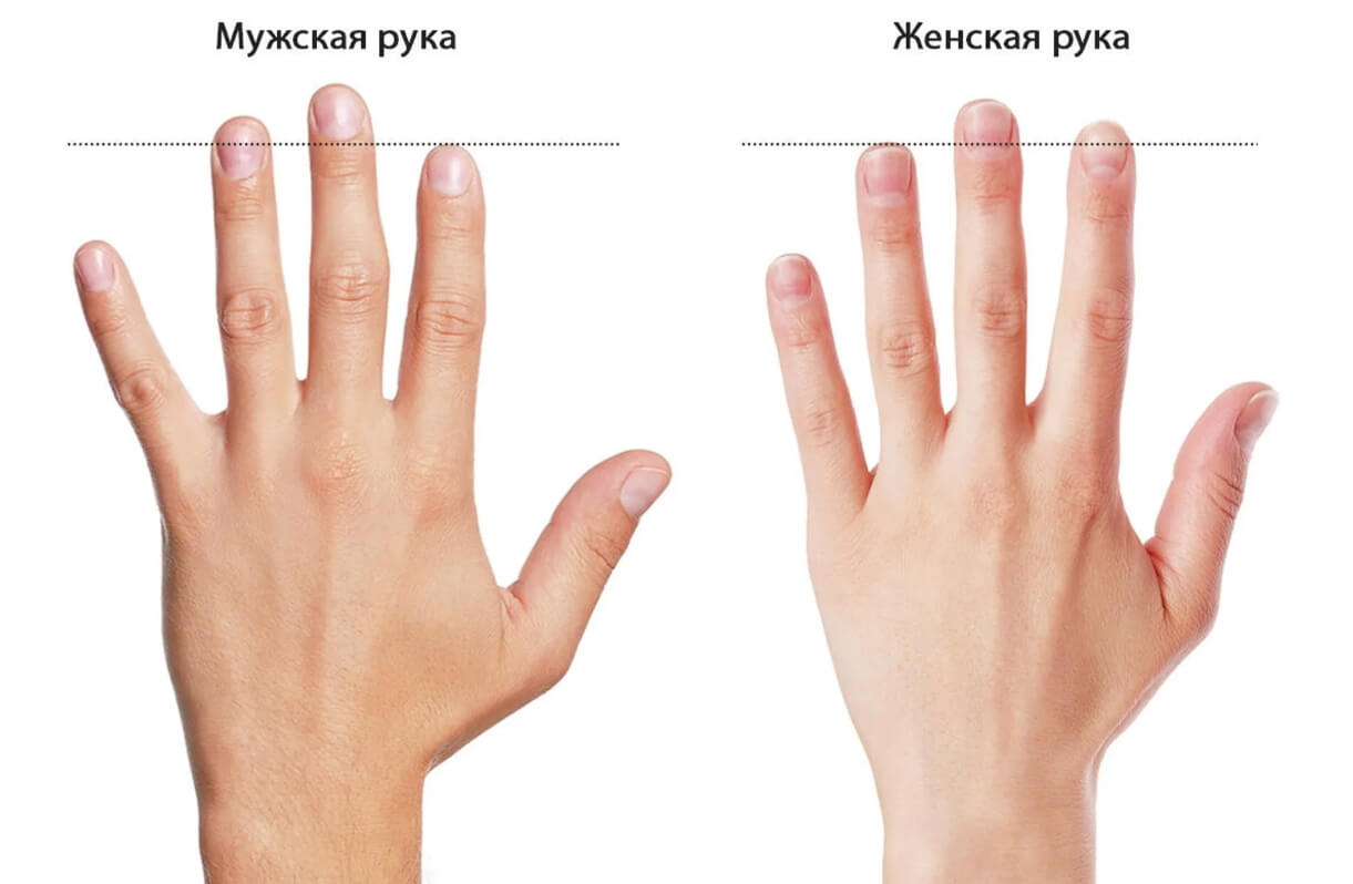 Что такое пальцевый индекс и как его определить. Разница между мужской и женской рукой. Фото.