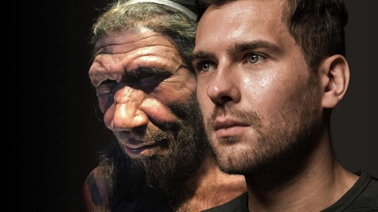 Современные люди тысячелетиями жили бок о бок с неандертальцами — теперь есть доказательства. Неандертальцы и Хомо Сапиенс тысячи лет сосуществовали друг с другом. Фото.