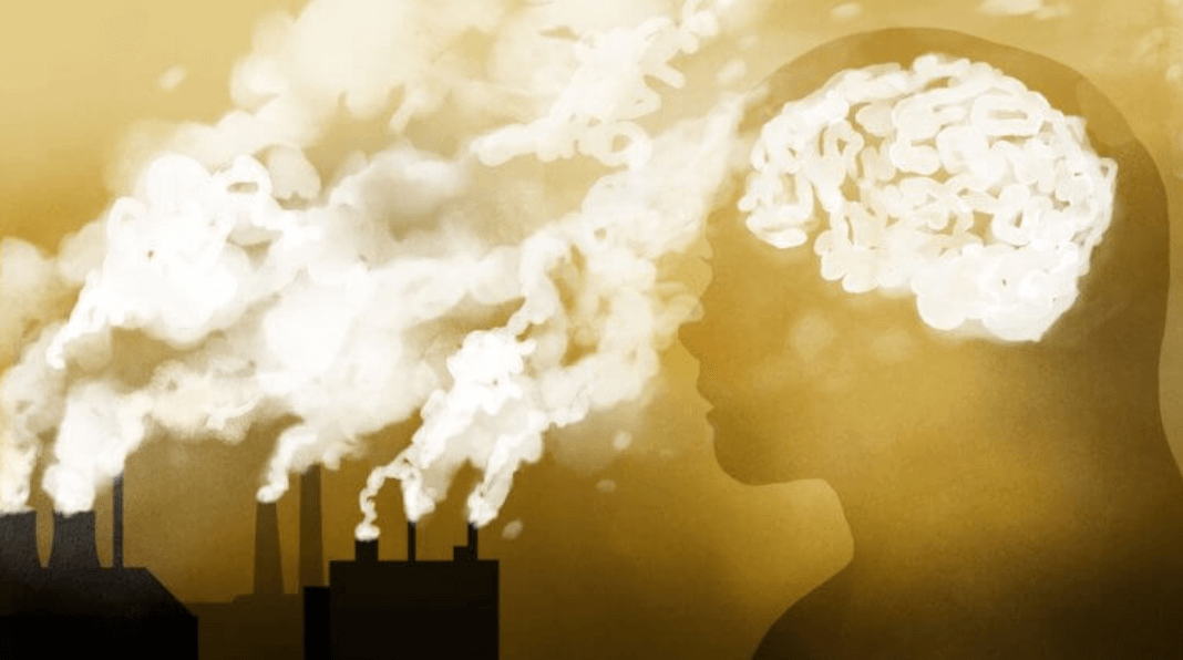 Как самоубийства связаны с качеством воздуха. Загрязненный воздух влияет на психическое здоровье человека. Фото.