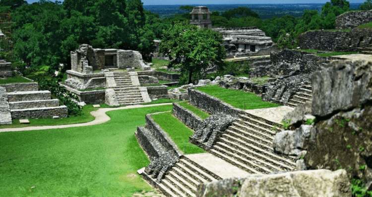 Что произошло с цивилизацией майя. Из-за засухи и войн людям пришлось покинуть свои города. Фото.