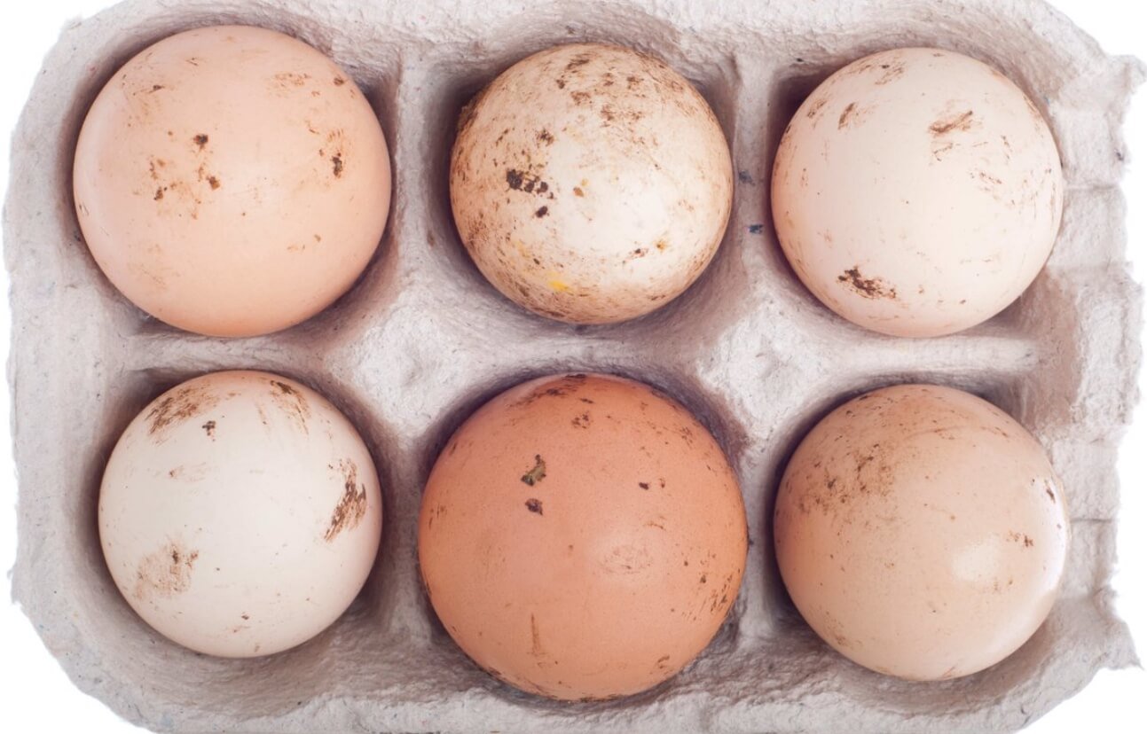 Как выбрать хорошие яйца. Во многих источниках говорится, что куриные яйца всегда нужно мыть перед приготовлением. Фото.