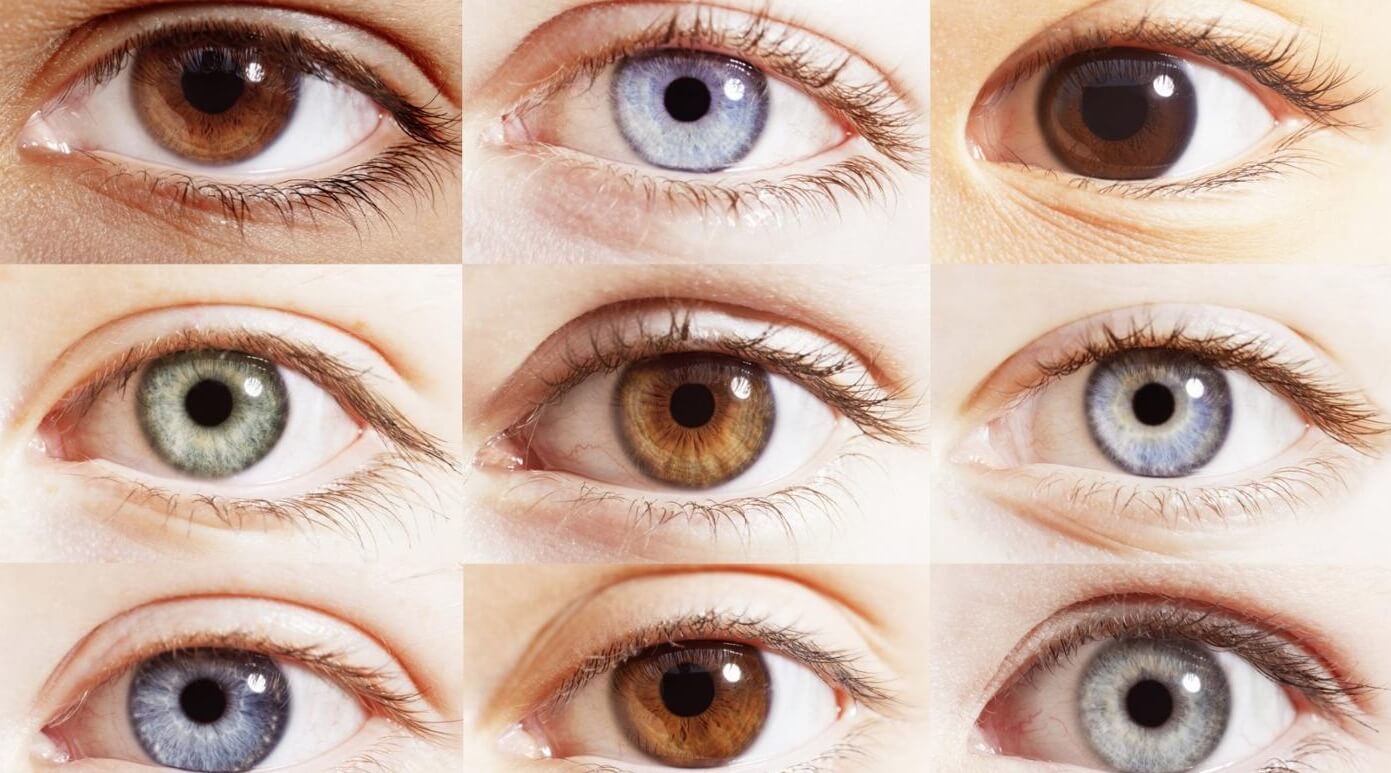 Чем голубые глаза лучше карих. Кажется, цвет глаз действительно влияет на зрение человека. Фото.