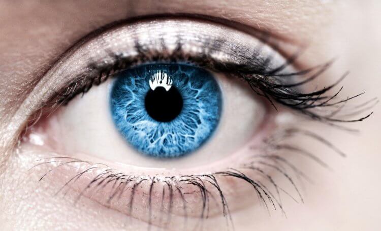 Почему голубоглазые люди лучше видят. Голубые глаза плохо защищены от яркого света, и это несет угрозу для здоровья людей. Фото.