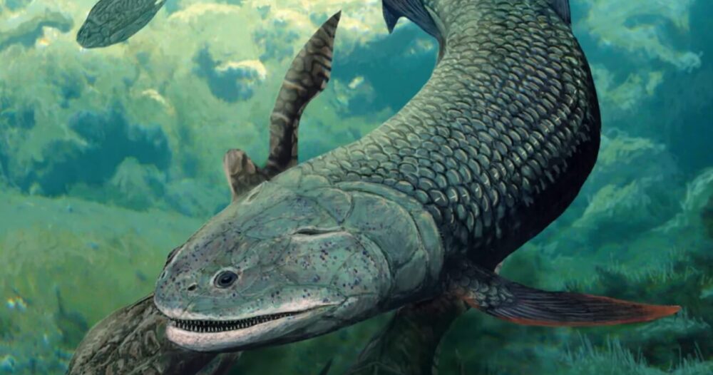 2つの呼吸器官を持つ歯の生えた魚の死骸が世界最古の川で発見された