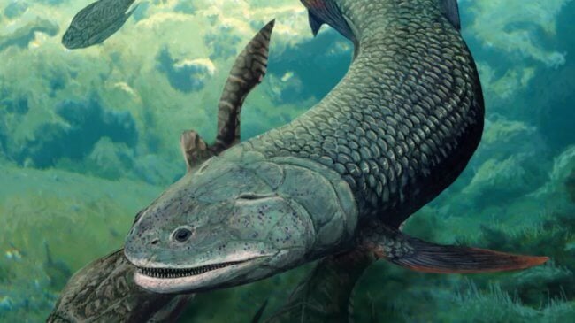 В самой древней реке в мире найдены останки зубастой рыбы с двумя органами дыхания. Фото.