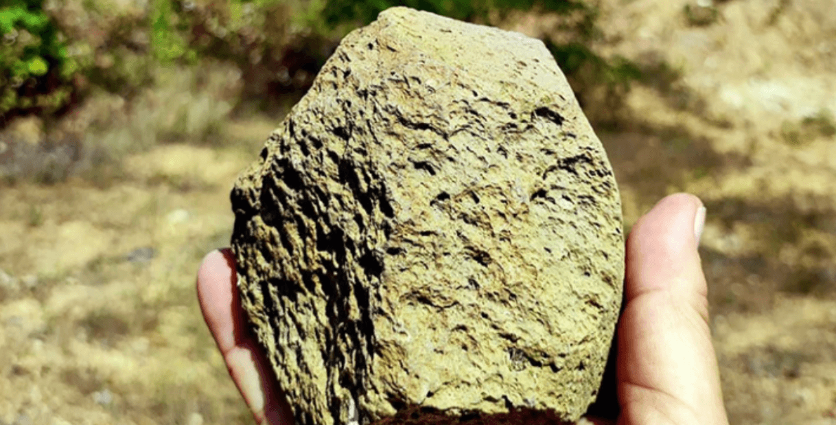 Следы древних людей в Карпатах. Каменное орудие, обнаруженное на стоянке в Королево. Фото.