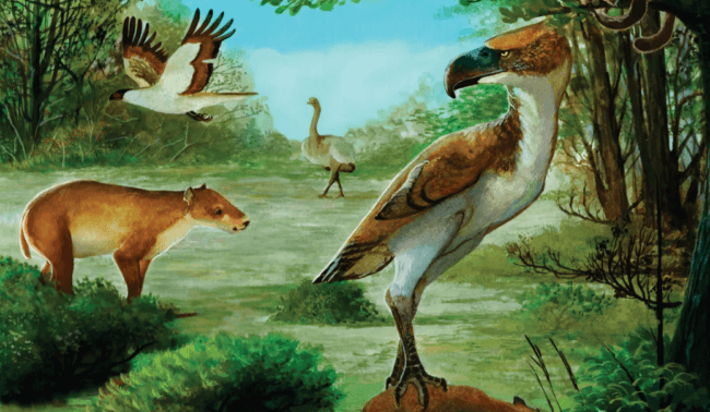 Двухметровые «птицы ужаса» — главные хищники Антарктиды 50 миллионов лет назад. Фото.