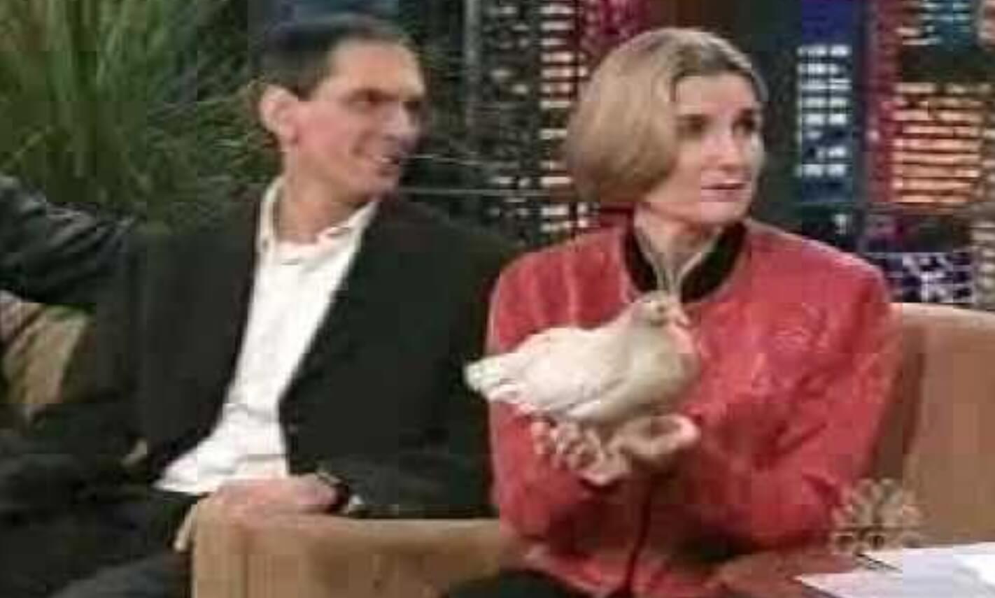Самые старые курицы в мире. Танцующая курица Матильда на телевидении. Источник: YouTube. Фото.