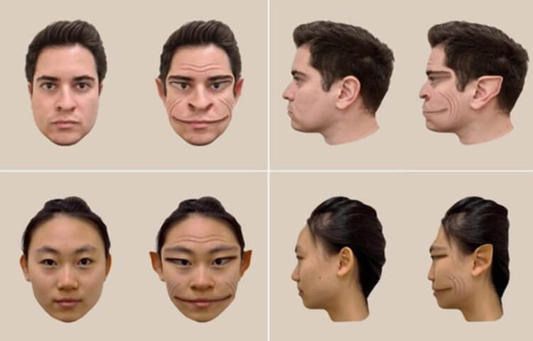 Hvordan mennesker med dæmonisk ansigtssyndrom ser verden. Dette er hvor meget prosopometamorfopsi forvrænger folks ansigter. Billede: sciencealert.com. Foto.