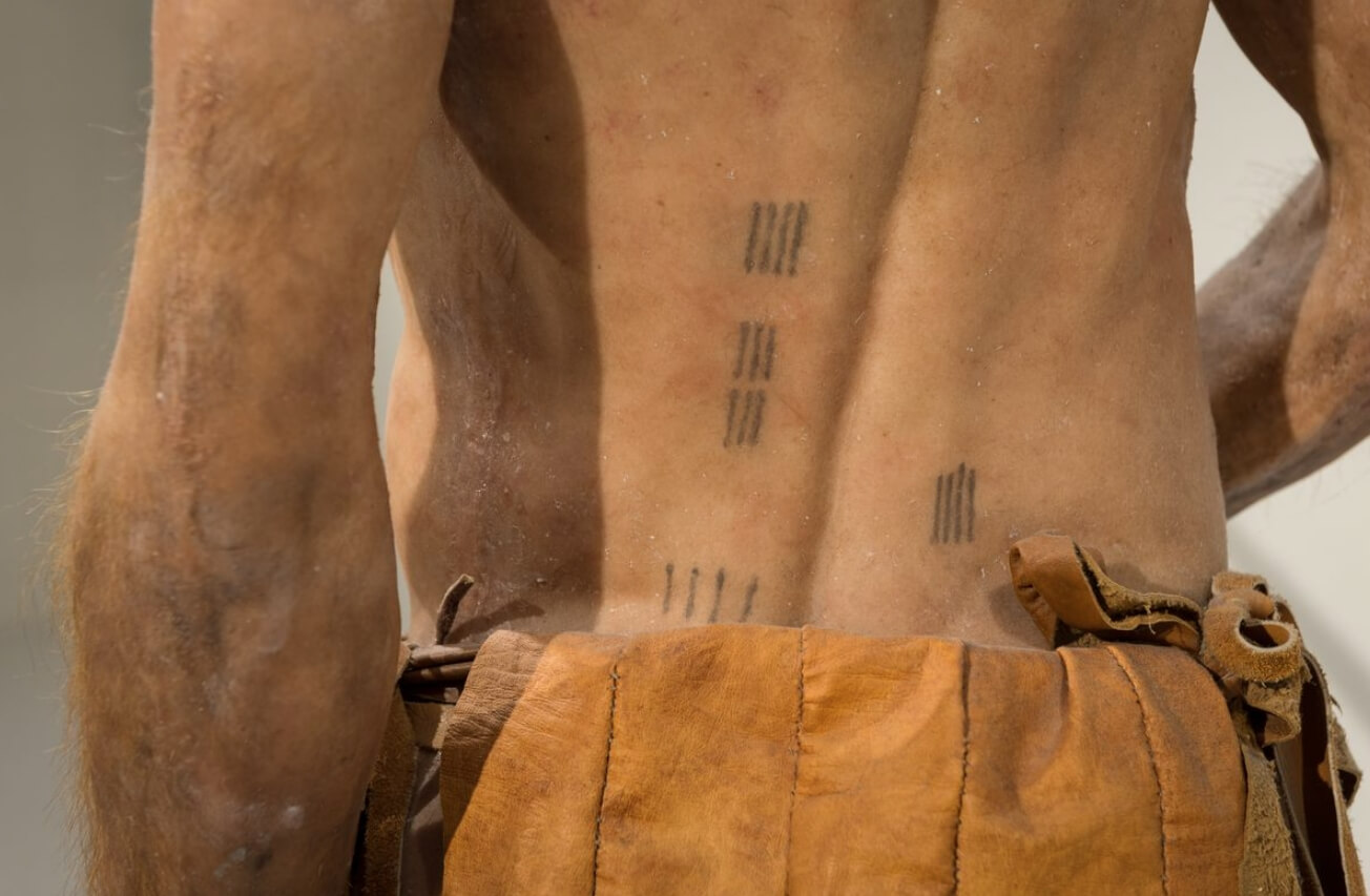 Для чего были нужны татуировки Эци. Татуировка на спине мумии Эци. Фото.