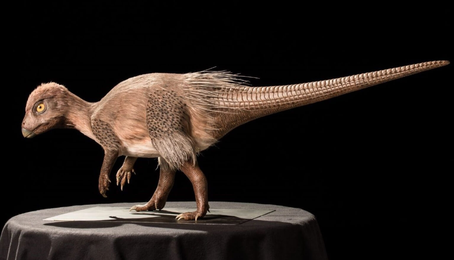 Кулиндадромеи — динозавры Забайкальского края. Внешний вид кулиндадромея — динозавра Забайкальского края. Фото.