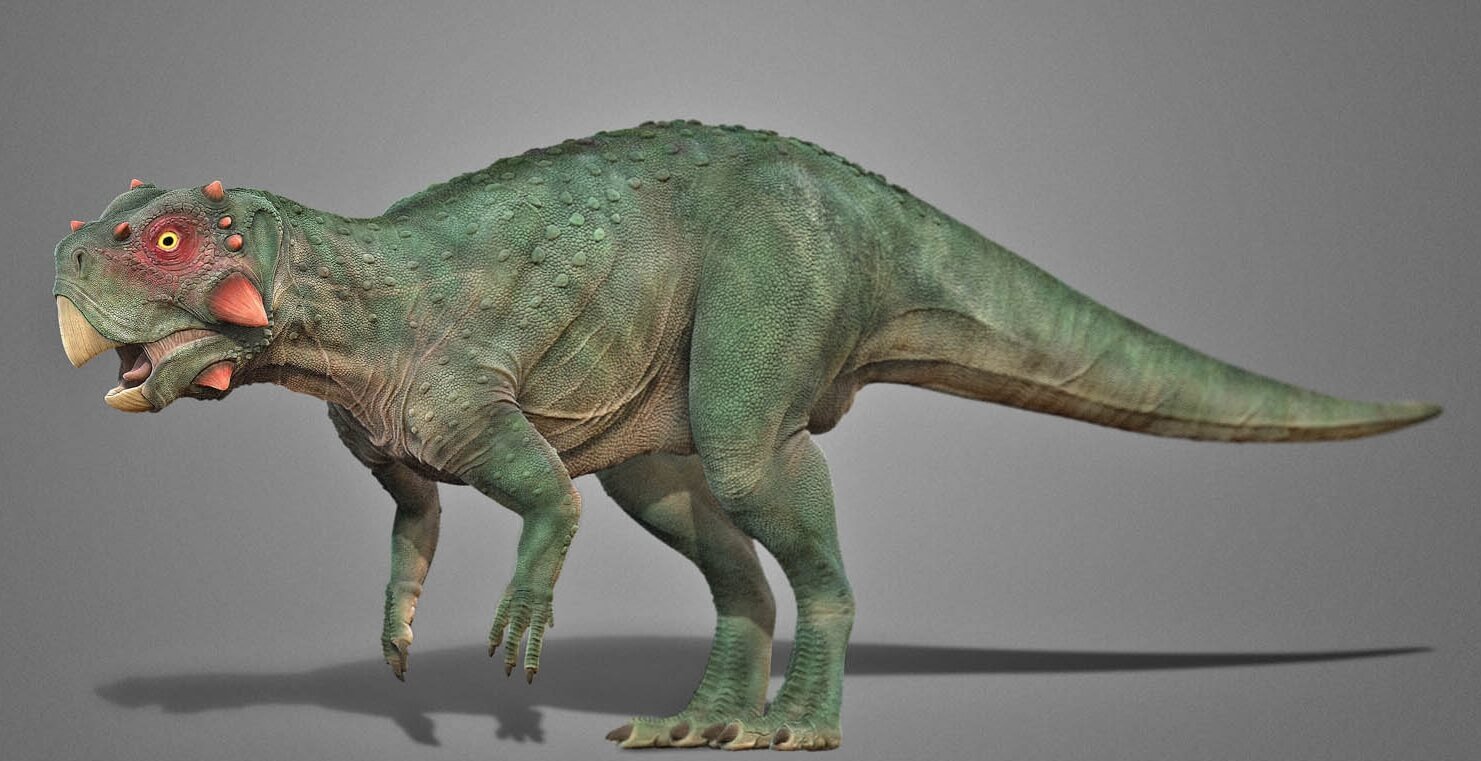 Самые необычные динозавры, найденные в России. Внешний вид пситтакозавра. Фото.