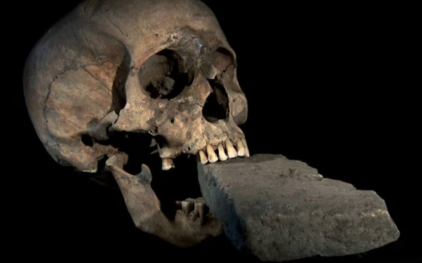 Как ученые нашли скелет древнего вампира. Найденный череп с кирпичом во рту. Изображение: National Geographic. Фото.