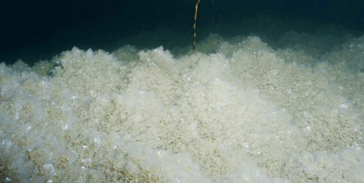 Насколько Мертвое море соленое? На дне Мертвого моря накапливаются кристаллы соли: Источник фото: iflscience.com. Фото.