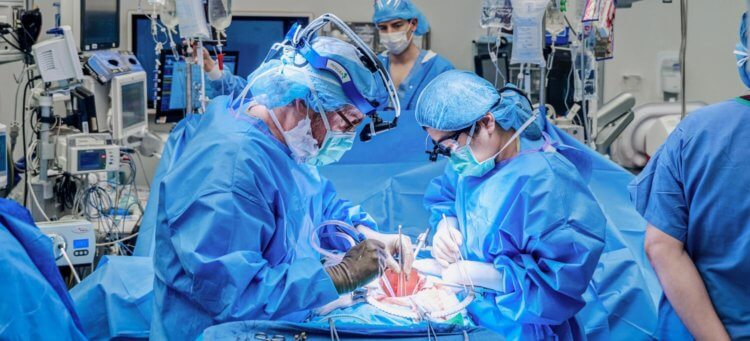 For første gang i historien blev en svinenyre transplanteret ind i en person, og en hjertepumpe blev installeret. Forskere udførte en unik operation for at transplantere en svinenyre ind i en person. Fotokilde: NYU Langone Health. Foto.