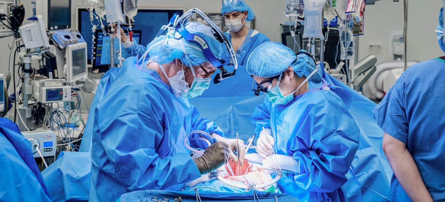 Впервые в истории человеку пересадили свиную почку и установили сердечный насос. Ученые провели уникальную операцию по пересадке свиной почки человеку. Источник фото: NYU Langone Health. Фото.