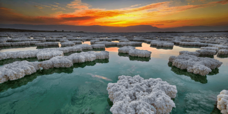 Почему Мертвое море сильно соленое. Вода в мертвом море настолько соленая, что в ней невозможно утонуть. Источник фото: iflscience.com. Фото.