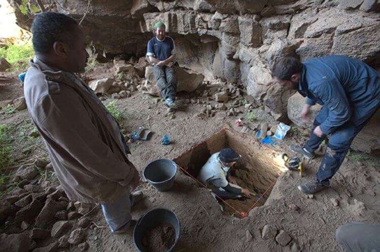 What did ancient people eat. Excavations in the Umm-Jirsana cave. Image source: sciencealert.com. Photo.