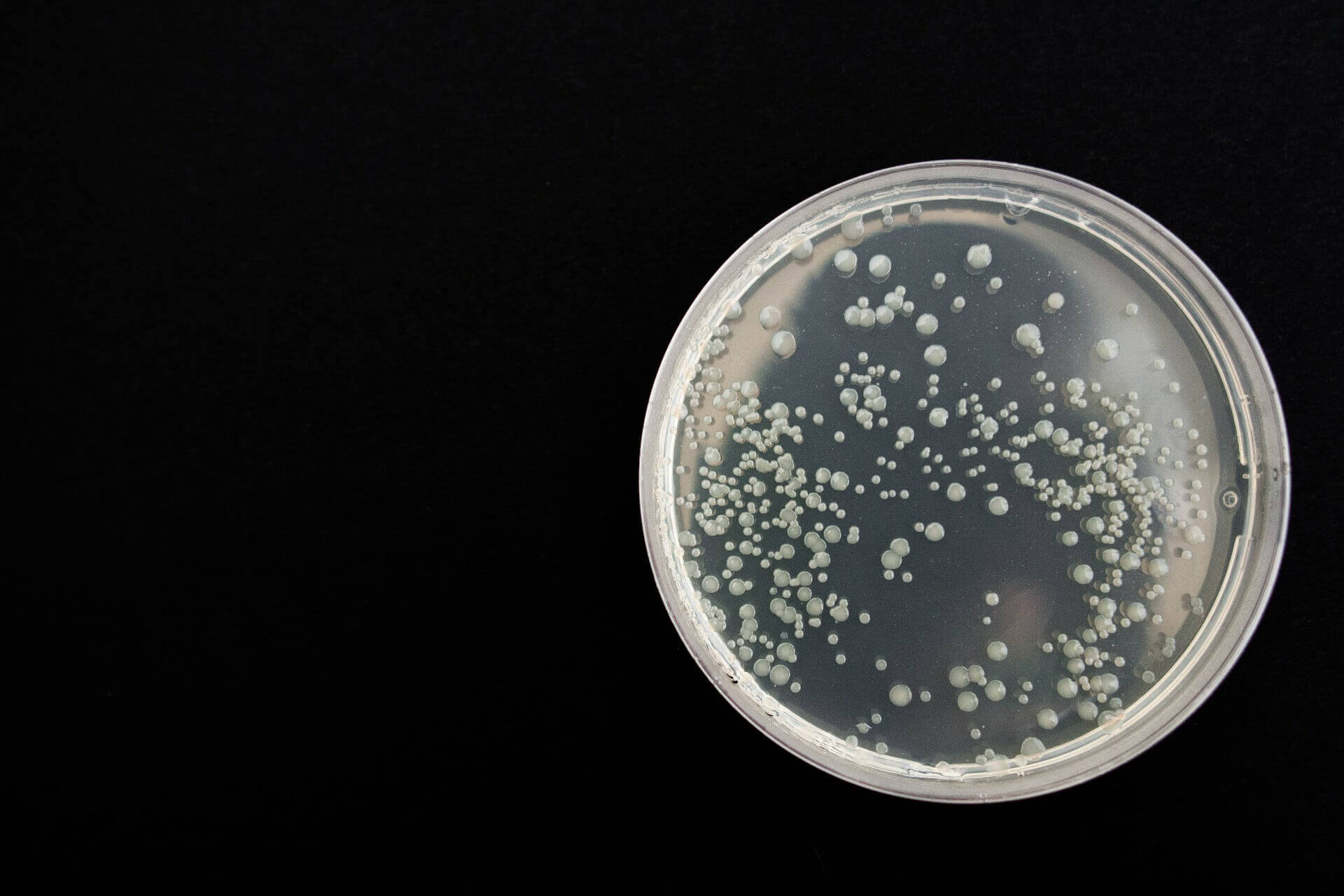 Что дальше? Устойчивость к антибиотикам может возникнуть, когда бактерии со временем мутируют. Чрезмерное использование антибиотиков ускоряет этот процесс.Изображение: walkin-clinic.co.uk. Фото.