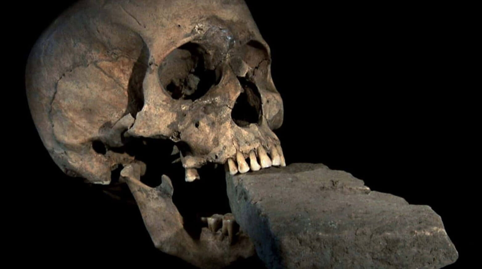 Как выглядели исторические личности. Череп женщины-вампирши 16 века. Изображение: National Geographic. Фото.