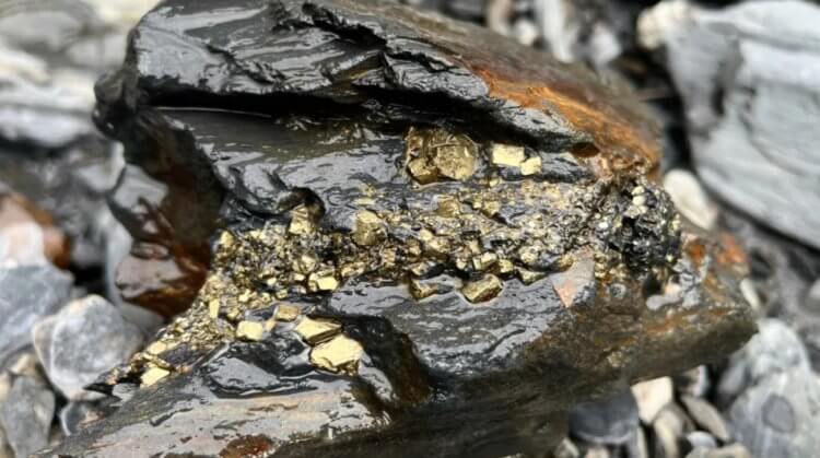 Mineralet pyrit kan blive dyrere i fremtiden. Måske er lithium kun indeholdt i pyrit fra Appalacherne. Kilde: iflscience.com. Foto.