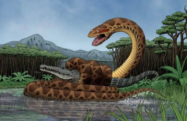 The largest snake in the history of the Earth. The Titanoboa snake as imagined by the artist. Image source: arhe.msk.ru. Photo.