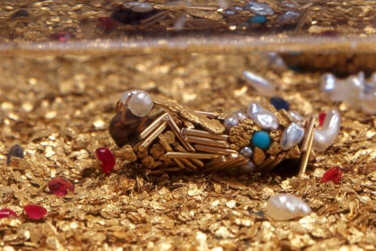 Smycken gjorda av insekter. Larven är klädd i smycken enligt beslut av Hubert Dupre. Bild: livemaster.ru. Foto.